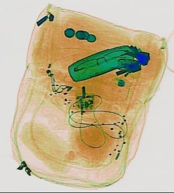 TSA CBT Test X-ray explosive sample question 3